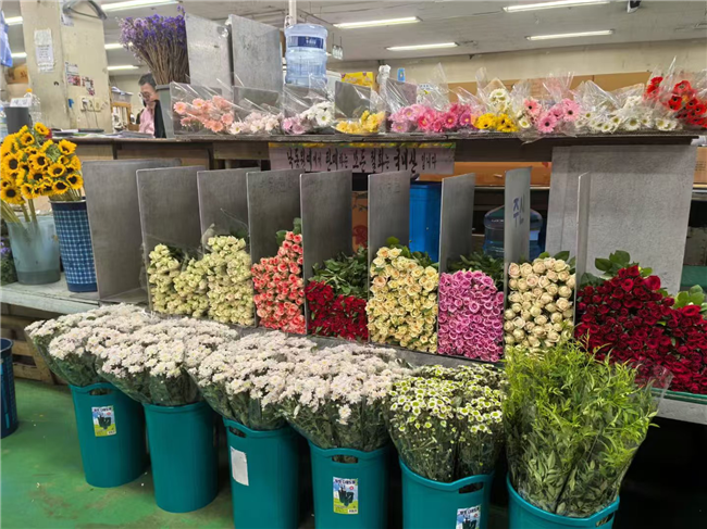 科技創新賦能云花 呈貢區打造花卉產業新高地