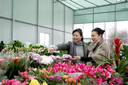 遂寧花卉交易市場盛大開業 花香溢城，美好生活新起點
